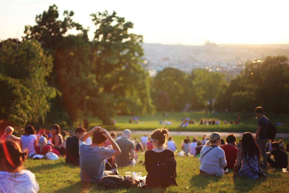 How to Keep Vancouver Parks Rat-Free: Tips for Visitors and Residents